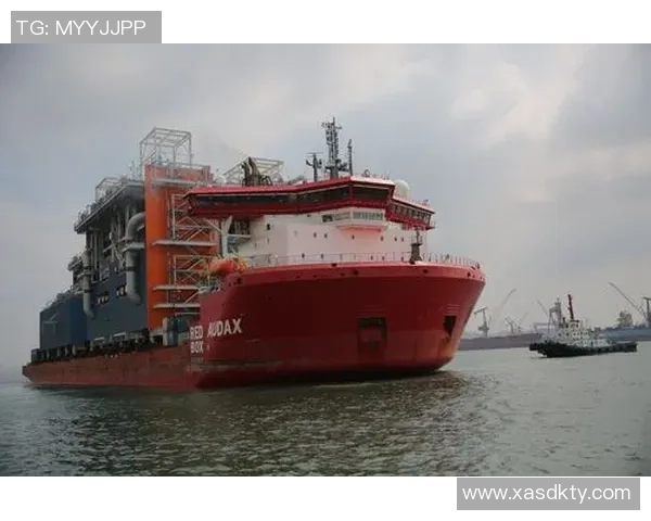 青年赛特别报道：LNG逆袭之路的荣耀与挑战全景解析